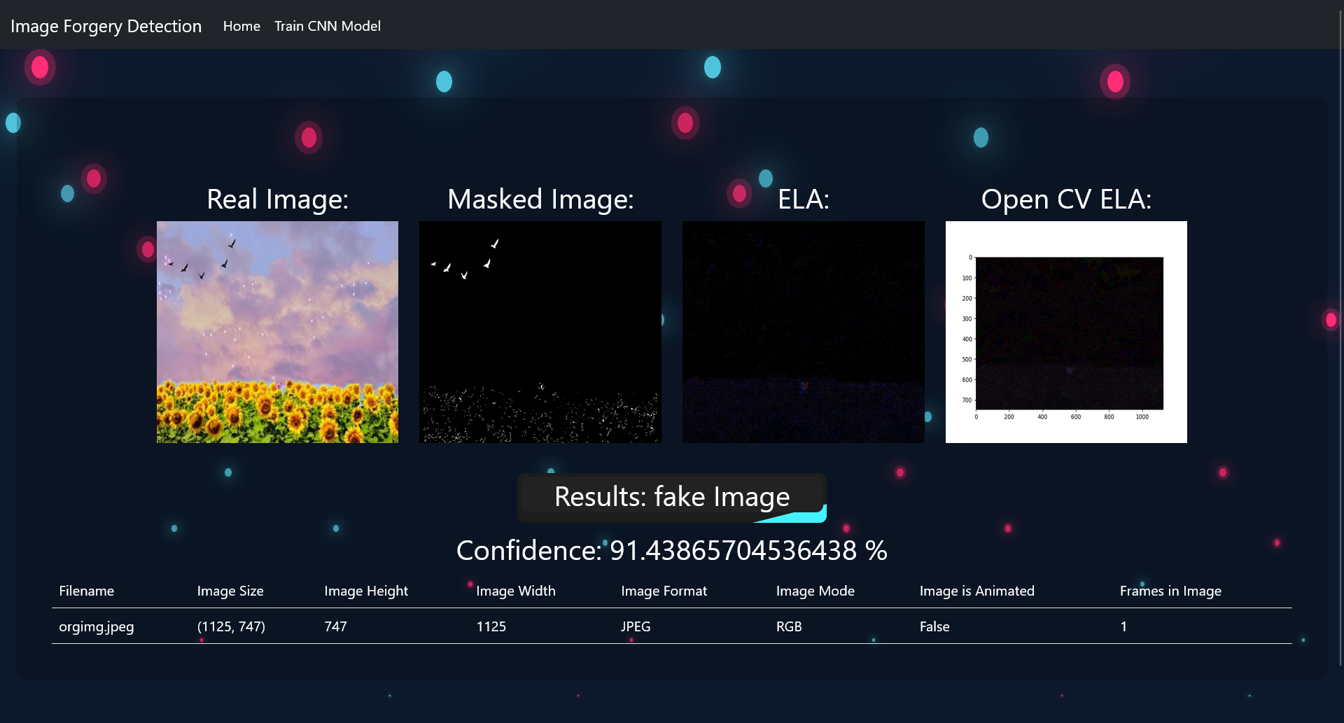 Image Forgery Detection